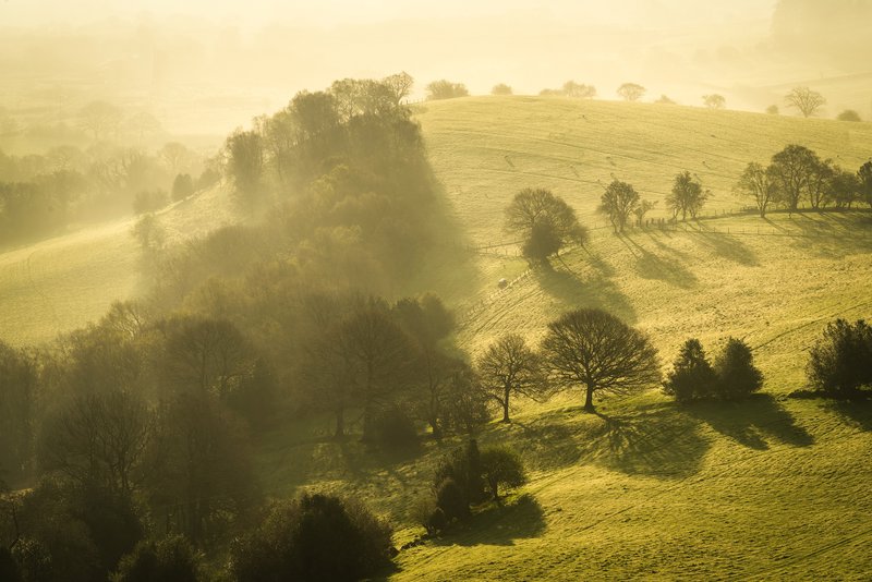 Co je pro gestalt terapii typické
