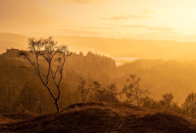 Jak probíhá gestalt sezení